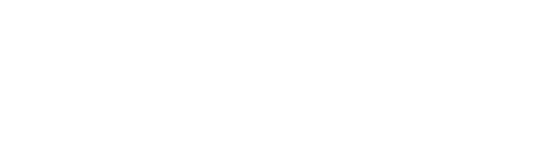 Logo Pingouin Car